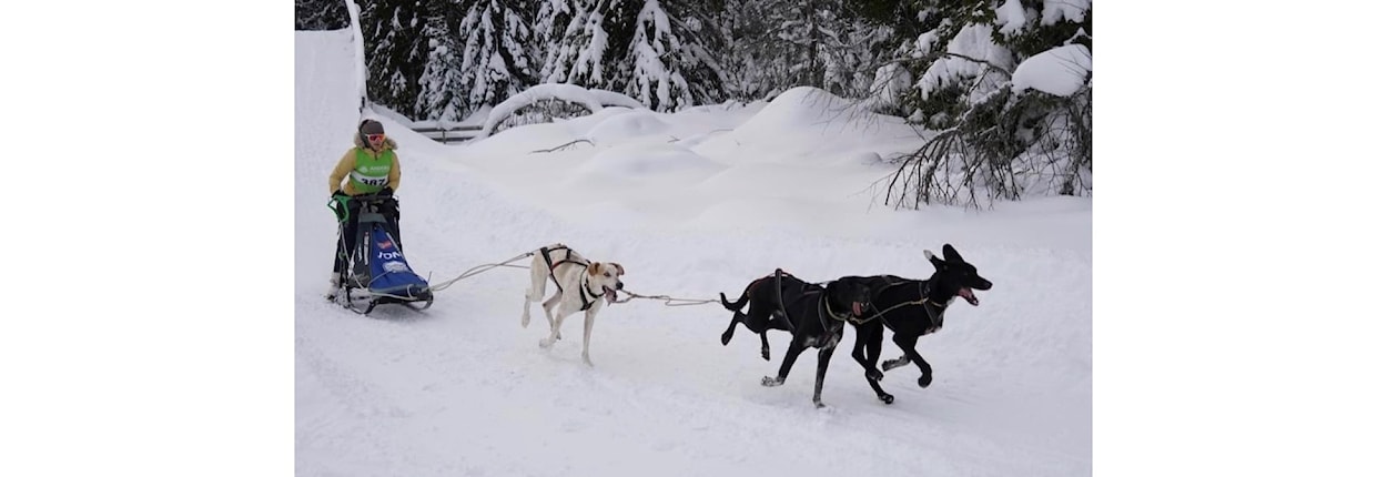 Slede sprint: Lavterskel samling for nybegynnere
